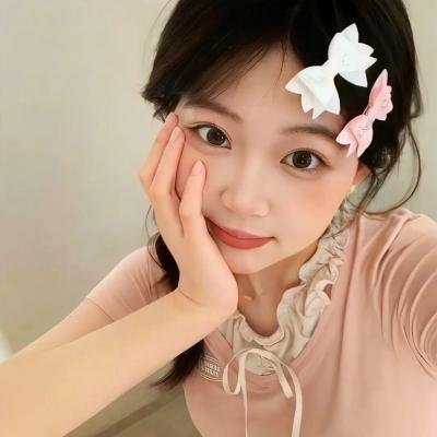 秘密使节